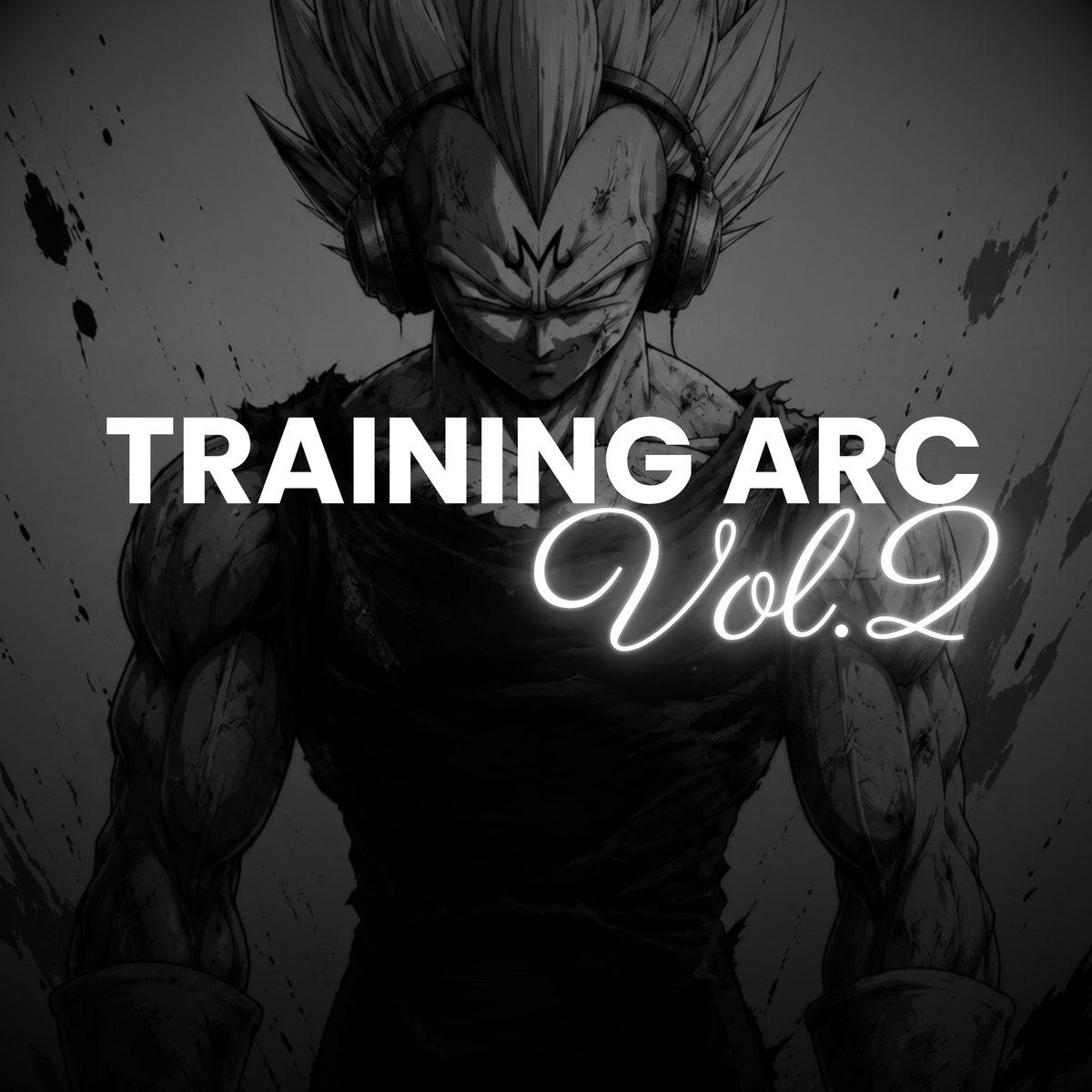 TRAINING ARC VOL.2
